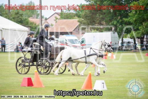 Mintakép 20260614-890