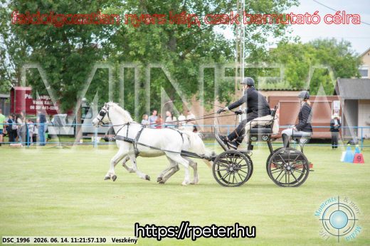 Mintakép 20260614-892
