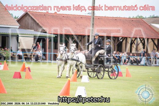 Mintakép 20260614-894