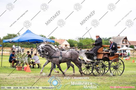 Mintakép 20260822-2402