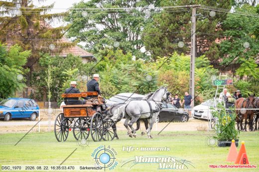 Mintakép 20260822-2404