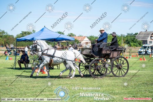 Mintakép 20260822-2430