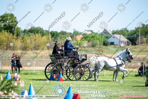 Mintakép 20260822-2434