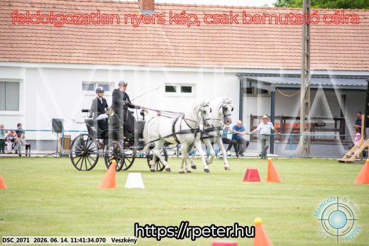 Mintakép 20260614-22