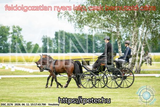 Mintakép 20260611-140