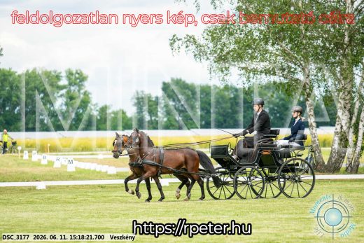 Mintakép 20260611-141