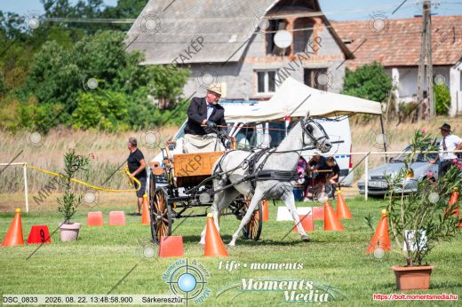 Mintakép 20260822-2487