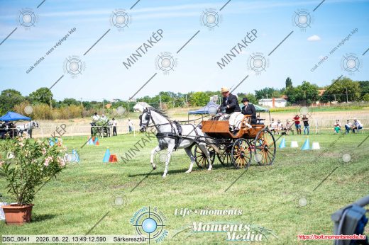 Mintakép 20260822-2492