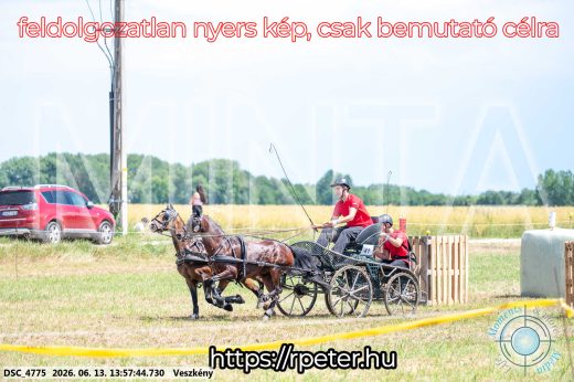 Mintakép 20260613-1767