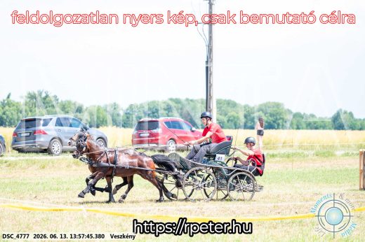 Mintakép 20260613-1769