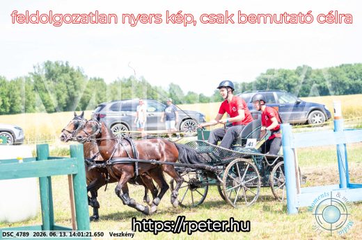 Mintakép 20260613-1771