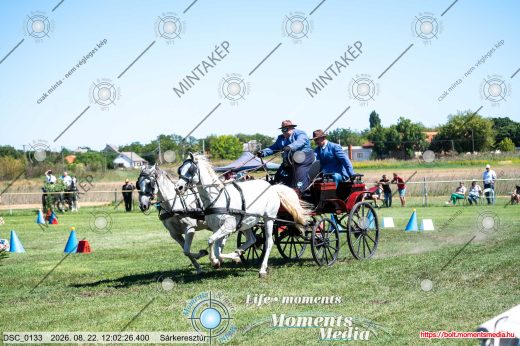 Mintakép 20260822-2570
