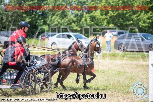 Mintakép 20260613-1775