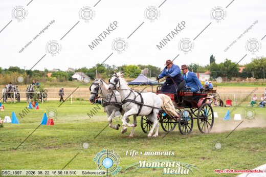 Mintakép 20260822-2590