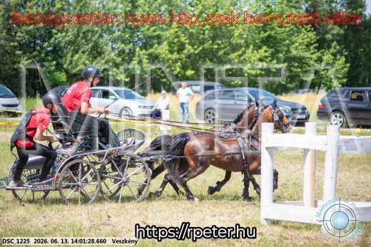 Mintakép 20260613-1776