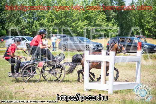 Mintakép 20260613-1777