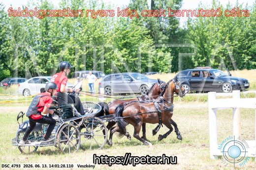Mintakép 20260613-1778