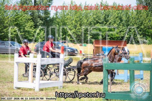 Mintakép 20260613-1779