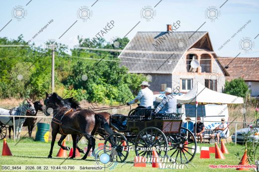 Mintakép 20260822-2634