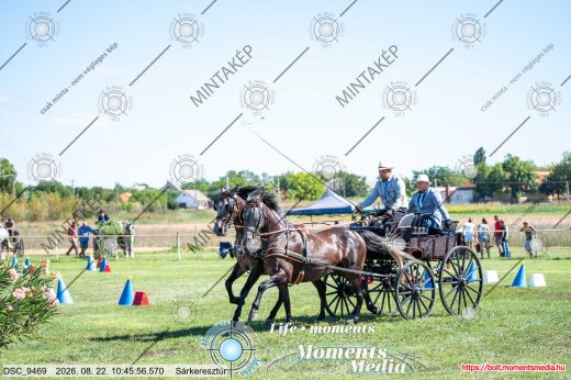Mintakép 20260822-2640