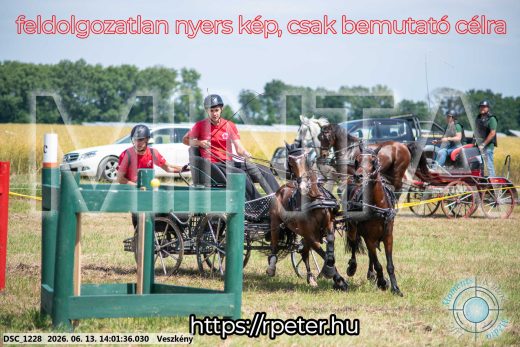Mintakép 20260613-1781