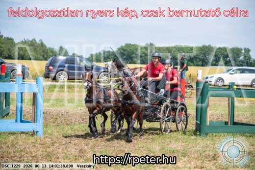 Mintakép 20260613-1782
