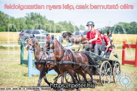 Mintakép 20260613-1784