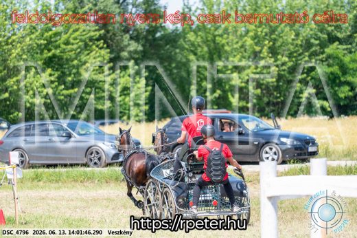 Mintakép 20260613-1786