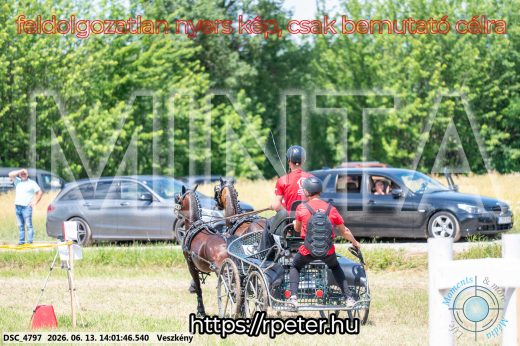 Mintakép 20260613-1787