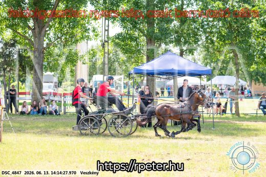 Mintakép 20260613-1789