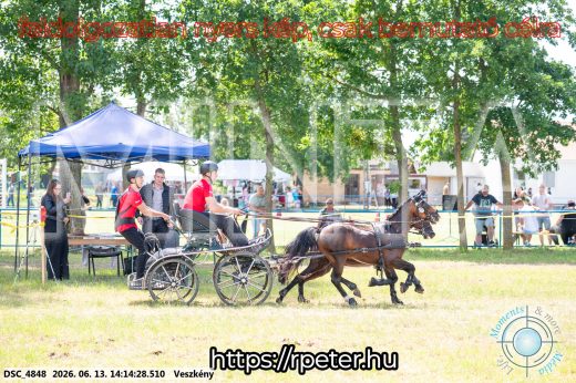 Mintakép 20260613-1790