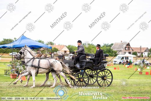 Mintakép 20260822-2740