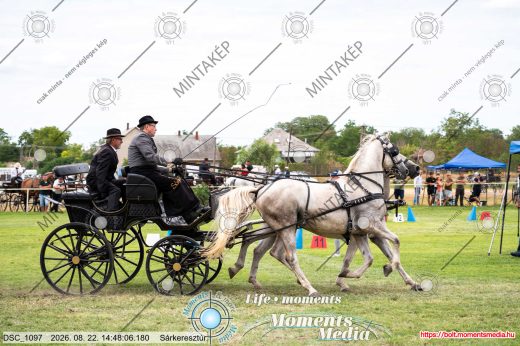 Mintakép 20260822-2742