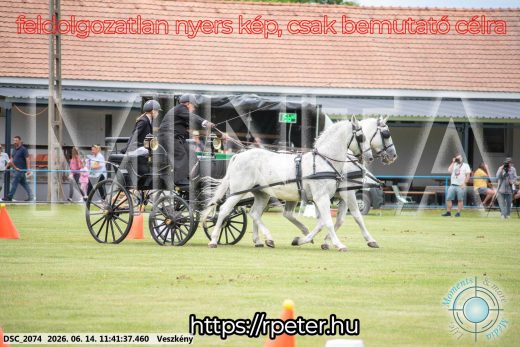 Mintakép 20260614-25