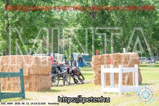Mintakép 20260613-1791