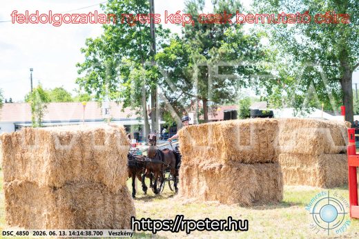 Mintakép 20260613-1792