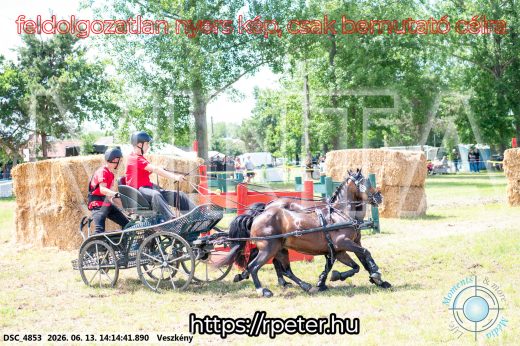 Mintakép 20260613-1794