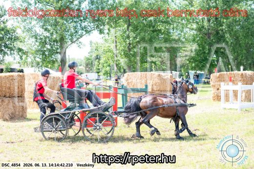 Mintakép 20260613-1795