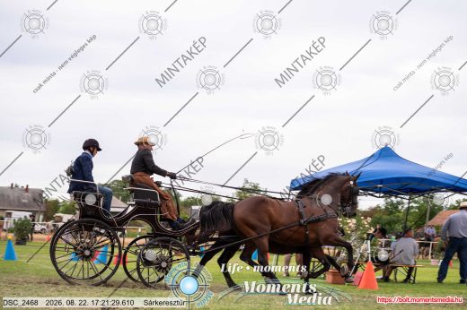 Mintakép 20260822-2801
