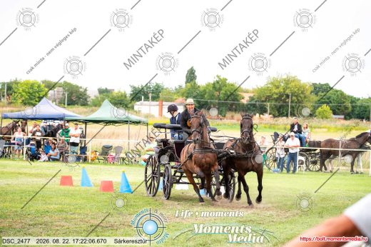 Mintakép 20260822-2808