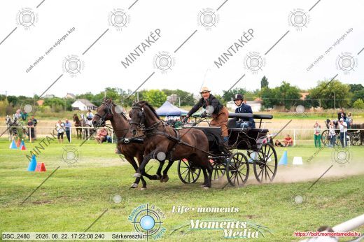 Mintakép 20260822-2811