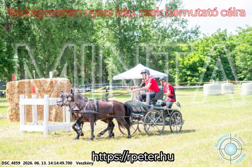 Mintakép 20260613-1798