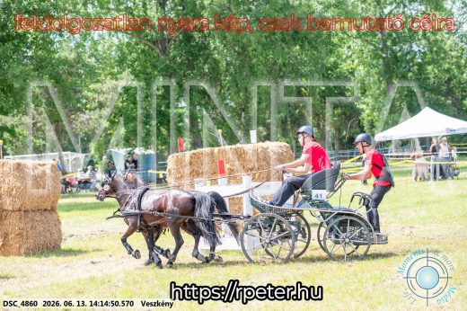 Mintakép 20260613-1799