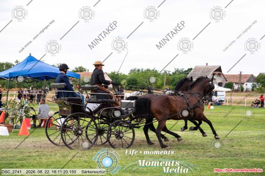 Mintakép 20260822-2835