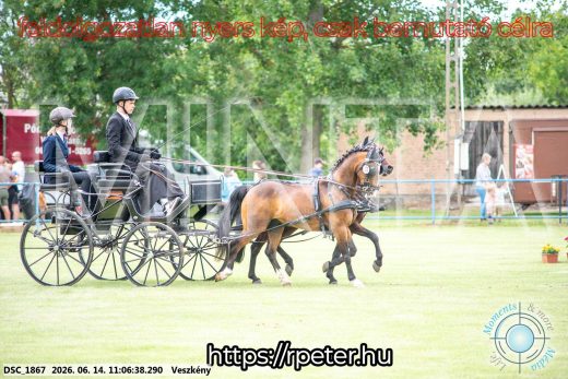 Mintakép 20260614-902