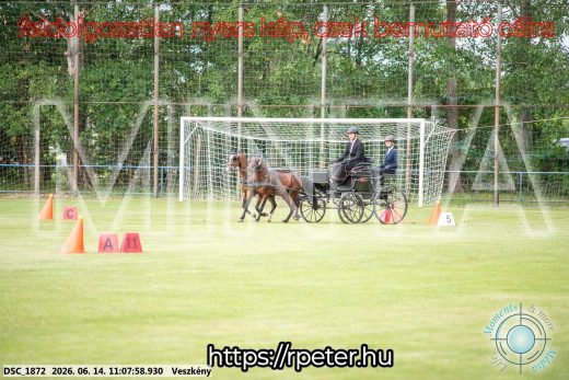 Mintakép 20260614-908