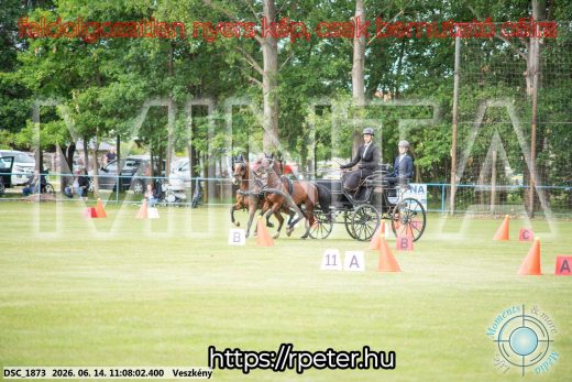 Mintakép 20260614-909