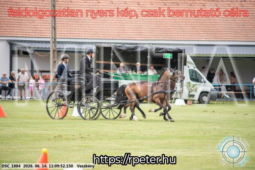 Mintakép 20260614-917