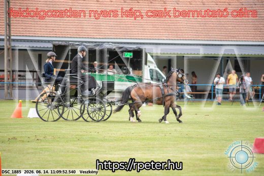 Mintakép 20260614-918