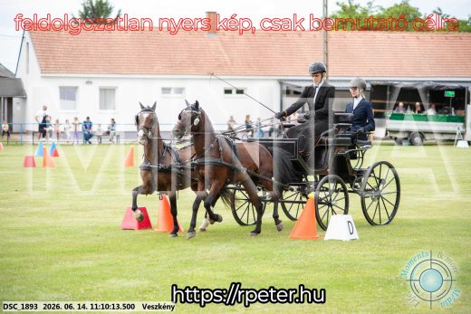Mintakép 20260614-925